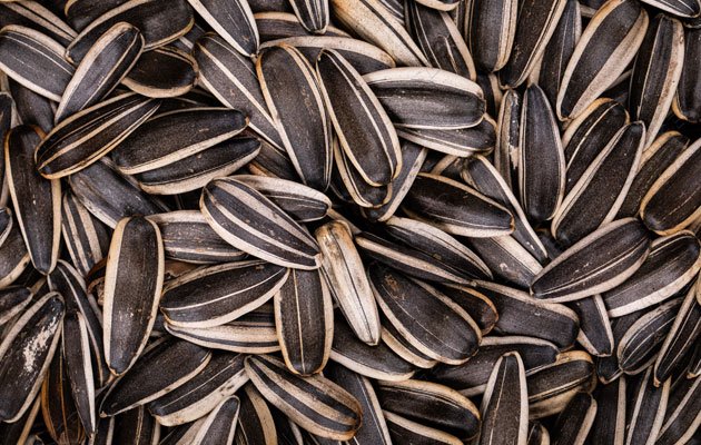 Sunflower Seeds With Shell