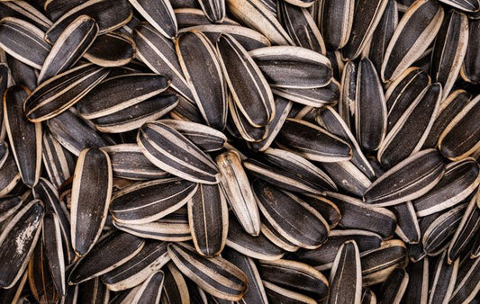 Sunflower Seeds With Shell