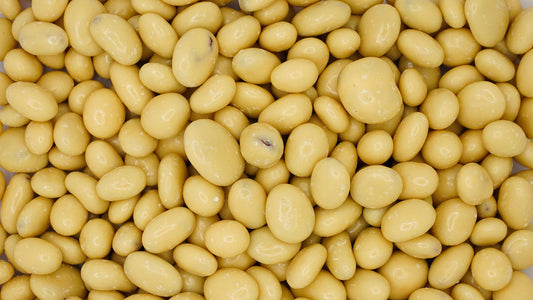 Yogurt Raisins